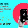 Tiktok Zero to Hero
